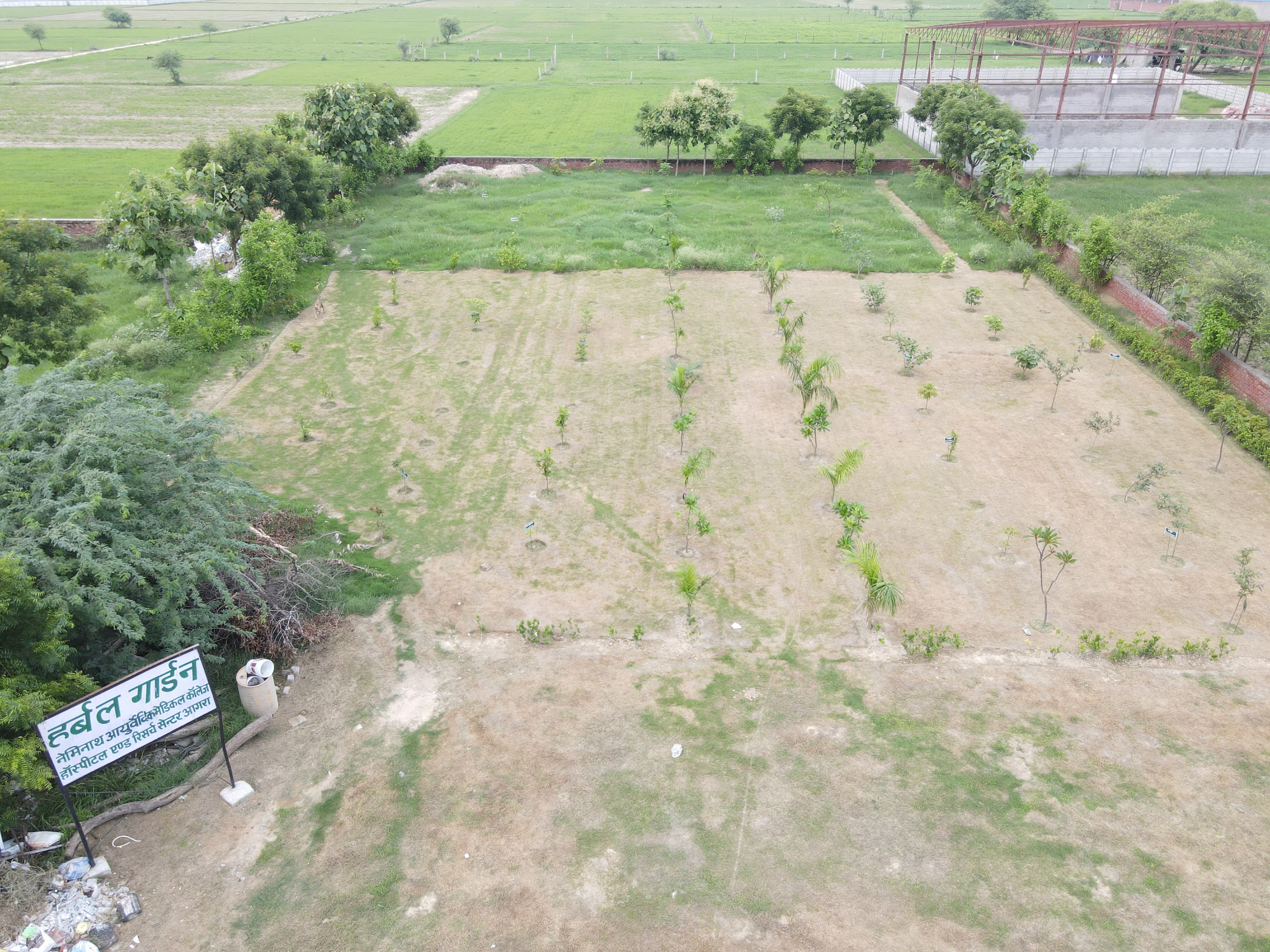 Herbal Garden