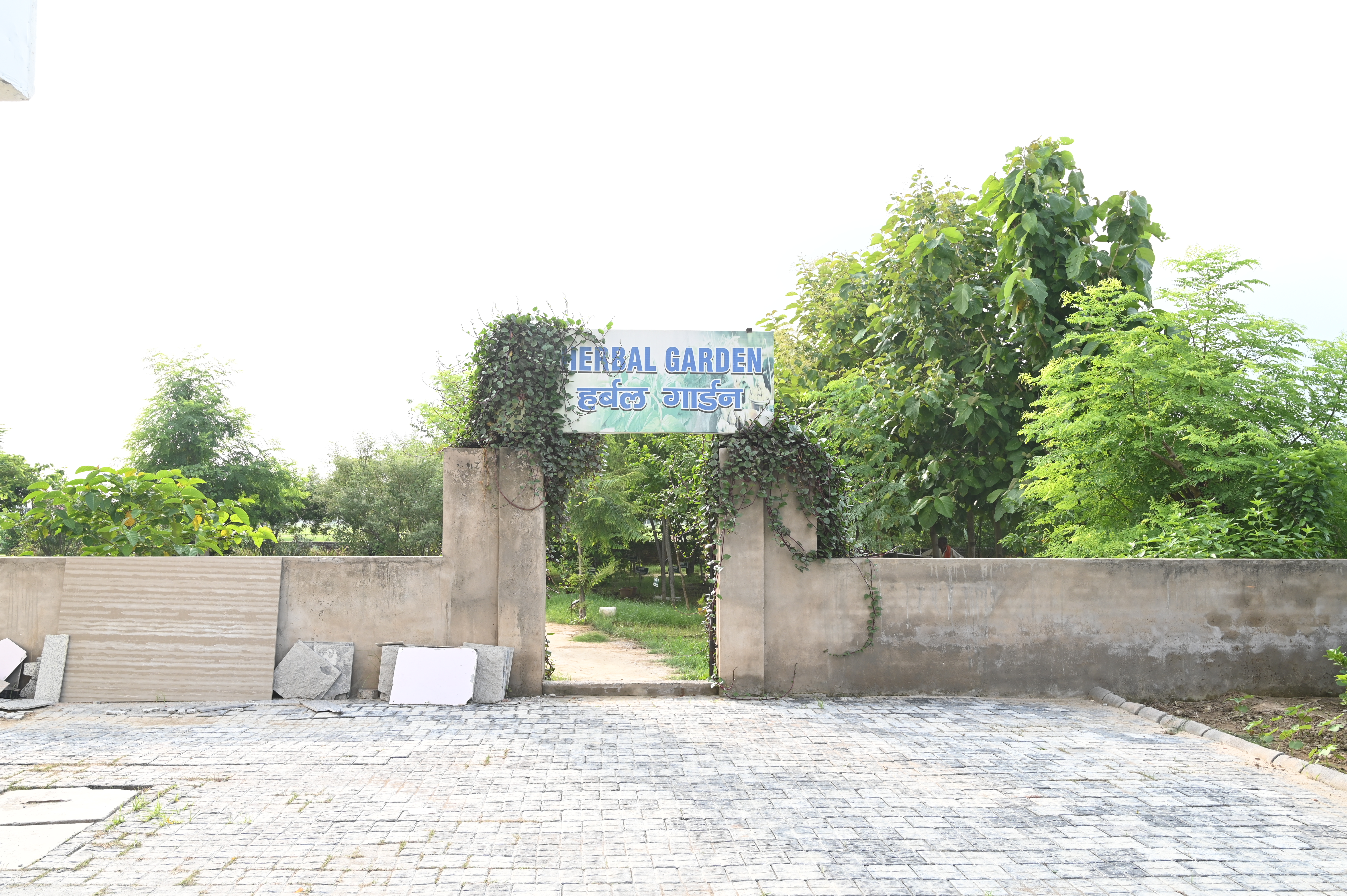Campus Herbal Garden